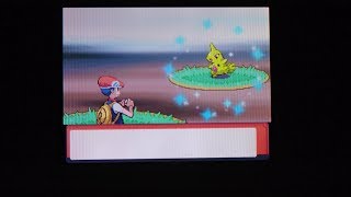 Larvitar brillante EN VIVO mediante Pokéradar  Pokémon Diamante [upl. by Naitsirt]