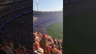 Collingwood song after winning AFL Grand Final 2023 [upl. by Arenat]