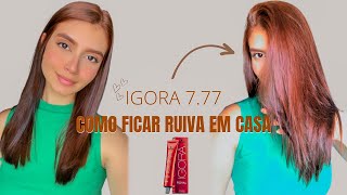 Pintando o cabelo com igora 777  Do castanho ao ruivo com Igora  Como faço maquiagem básica 🦊✨ [upl. by Adnolrehs]