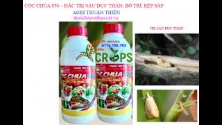 CÓC CHÚA 850–ĐẶC TRỊ SÂU ĐỤC THÂN0776755793thuốcbảovệthựcvậtvn sauducthan drplantvn [upl. by Gothard941]