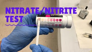 NitrateNitrite Test [upl. by Ostap]