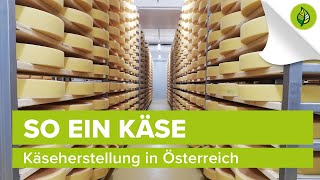 So ein Käse – Käseherstellung in Österreich [upl. by Etteyniv]