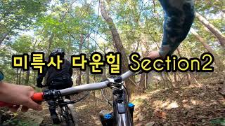 Specialized Levo SL Gen2 금정산 미륵사 다운힐 Section2 [upl. by Carlene966]