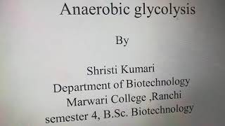 Anaerobic glycolysis [upl. by Sherrard93]