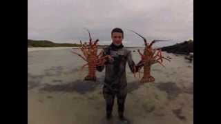 Spearfishing Port Fairy Victoria 2013 [upl. by Ireg644]