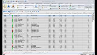 SelectLine Warenwirtschaft Artikel und Stammdaten wwwmicroquestde [upl. by Reeva691]