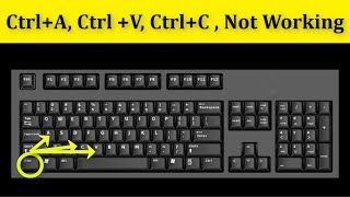 How To Fix CtrlA CtrlV CtrlC Not Working Problem  Keyboard Not Working Problem Windows 1087 [upl. by Mindy]