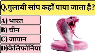 gk questions  GK IN HINDI  GK questions answers  gk quiz [upl. by Biel]