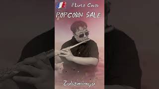 Popcorn salé 🪄 FLUTE COVER SANTA [upl. by Platon]