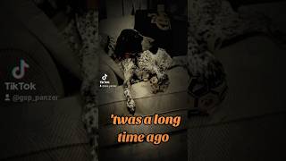 twas a long time ago German Shorthaired Pointer GSP 🎃👻🐶new shorts ytshorts viral viralshorts [upl. by Rosenkranz]