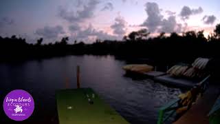 Virgin Island Ecotours St Thomas webcam on the Mangrove Lagoon [upl. by Crean]