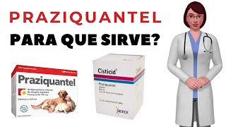 PRAZIQUANTEL que es y para que sirve praziquantel como usar praziquantel 600mg tablets [upl. by Rockafellow]