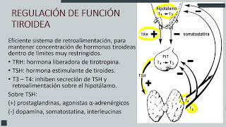 Fx tiroidea  Fx pancreática  Unidad 2  Patología clínica  sem 10 [upl. by Tratner]