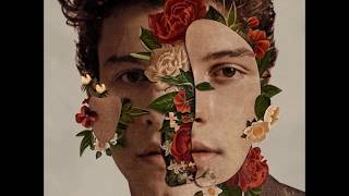 Shawn Mendes  Theres Nothing Holdin Me Back [upl. by Aleron762]