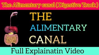 Alimentary Canal Full Detailed Explainatin ।। Digestive system ।। By  Jatin Malviya ।। [upl. by Thirzia]