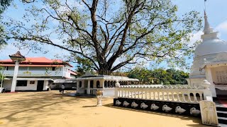 Sri Vinayalankararamaya Pokunuwita  බුරුම පන්සල 🙏🌼🌾 [upl. by Arraic]