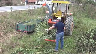 Picador  triturador de galhos Lippel  PDU 1500 T Triturando galhos e troncos [upl. by Nester87]