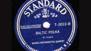 Baltic Polka  Nordic Instrumental Quartetwmv [upl. by Hcardahs]