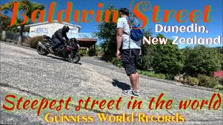 Baldwin Street The steepest street in the world Dunedin New Zealand [upl. by Ofelia]