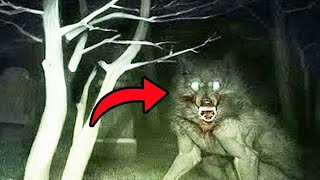 Top 10 Chilling Werewolf Sightings Caught On Camera [upl. by Kcirret]