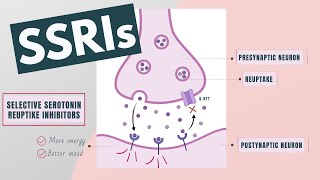 Selective Serotonin Reuptake Inhibitors SSRIs  Indications mechanism side effects [upl. by Rimidalb]