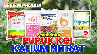 Ketahui Perbedaan Pupuk KCL dan Kalium Nitrat Produktivitas dan Kualitas MENINGKAT benihonline [upl. by Dorreg]