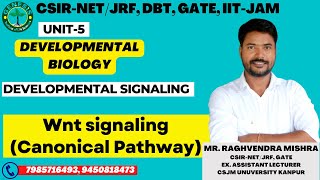 WntSignalingcanonicalPathway developmentalbiology Genesisinstituteoflifescience [upl. by Meisel]