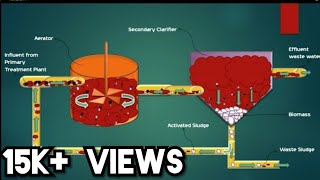 Biological Treatment System in Waste water Treatment Plants [upl. by Alet590]