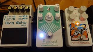 Earthquaker Devices Arpanoid EHX Canyon Delay amp Boss TE2  ambient guitar demo [upl. by Joann]