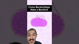 O Vírus que as Bactérias não Gostam curiosidades microscopio virus biologia bacteria biologo [upl. by Inga939]