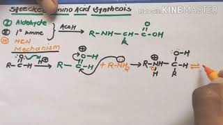 Strecker Synthesis of amino acid [upl. by Blockus]