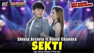 Shinta Arsinta feat David Chandra  Sekti  Sagita Assololley  Dangdut Official Music Video [upl. by Adihsar]