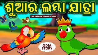 ଶୁଆର ଲମ୍ବା ଯାତ୍ରା  The Parrots Long Journey  Odia Story for Children  Odia Fairy Tales [upl. by Ahsain]