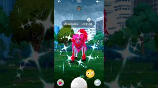 First Ever ✨Shiny Zamazenta raids in pokemon go soparstart pokemon shorts zamazenta debut [upl. by Ehtiaf9]