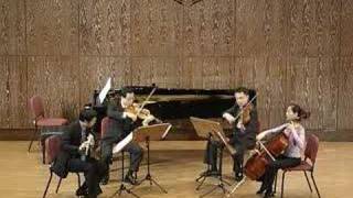 MozartQuartet for flute and strings in D K283 mov1 [upl. by Oicnoel700]