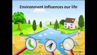 Science  What are Biotic and Abiotic Components of the Environment  Hindi [upl. by Nylaret]