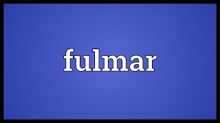 Fulmar Meaning [upl. by Ahsekan572]