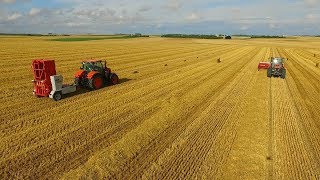 Saison de paille 2017  Straw baling 2017  SARL Laroye  Fendt Kubota Claas Krone Lely [upl. by Marlo]