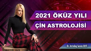 ÖKÜZ YILI  2021 ÇİN ASTROLOJİSİ  Dr Astrolog Şenay Devi  Astrodeha [upl. by Henryk]