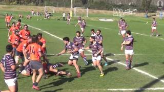 Highlights Rugby XV Pedro Pablo Verschae v1 [upl. by Milton149]