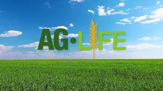 AgLife Episode 413 [upl. by Lachance]