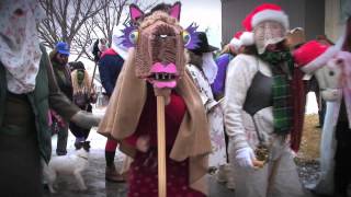 The Mummers Parade  St Johns Newfoundland and Labrador [upl. by Yraeg561]