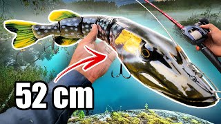 MONSTER vs Tiny Lures for PIKE FISHING 🔥 1000 g Swimbait [upl. by Cowles]