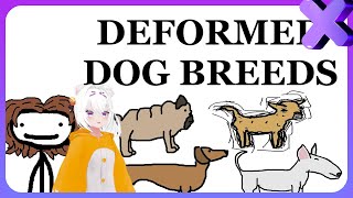 Filian Reacts to Dog Breed Deformities  Sam ONella Academy [upl. by Nnylahs]