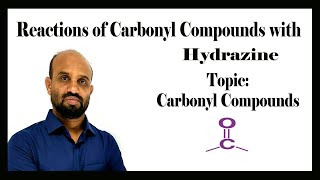 Lesson 13 Reactions of Carbonyl Compounds with Hydrazine  Topic Carbonyl Compounds [upl. by Hawk]