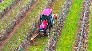 Cleaning up the orchard after winter pruning [upl. by Eima]