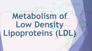 Metabolism of Lipids amp Fatty Acids  2nd Year MBBS  Lecture 12 [upl. by Shulman]