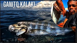 vlog 455 Maynaligaw na trevally catch amp cook amp sell [upl. by Nollie]