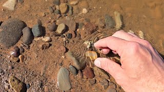 Rockhounding Finds at Scots Bay Nova Scotias Bay of Fundy Part 2 [upl. by Moreno71]