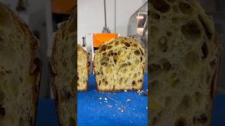 panettone process from start to finish Pick up in store or shipping available at jlpatisseriecom [upl. by High]